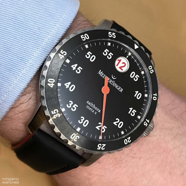 Meistersinger salthora meta x review 2025